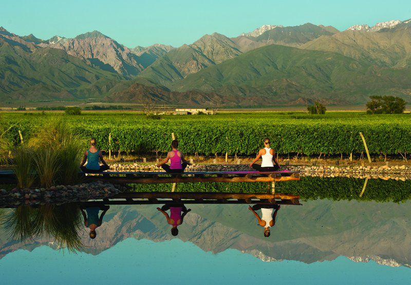 The Vines Resort & Spa Los Sauces エクステリア 写真