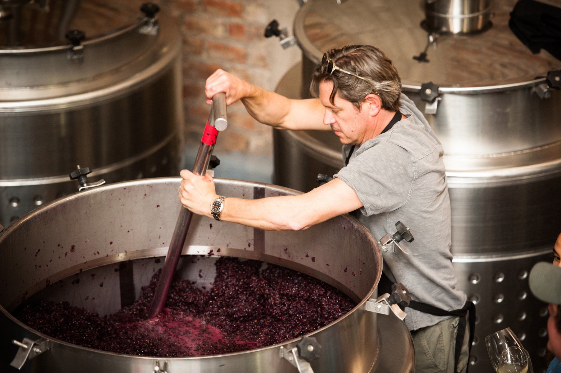 The Vines Resort & Spa Los Sauces エクステリア 写真